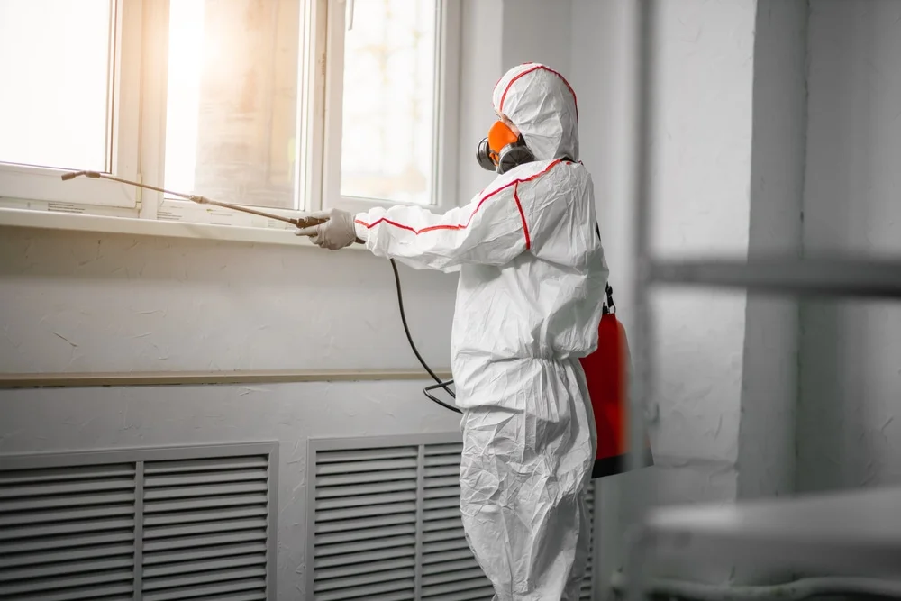 Professional mold remediation services in Plainfield, NH